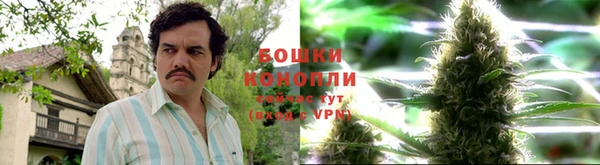 гашишное масло Белокуриха