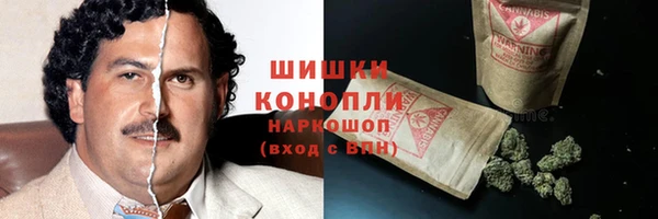 СК Богородск