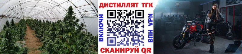 хочу наркоту  мега ONION  ТГК концентрат  Великий Устюг 